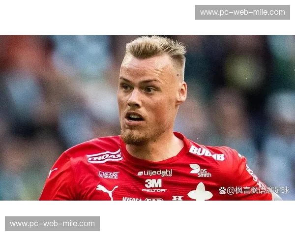 绿白狂潮与黄黑闪电的宿命对决：当哈马比遇上赫根，北欧足球的暴力美学与激情碰撞